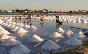 Trapani Sea Salt IGP from Antica Salina Marsala (1kg)